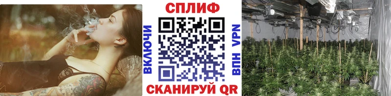 Шишки марихуана Bruce Banner  Ступино 